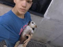 Gustavo Oliveira