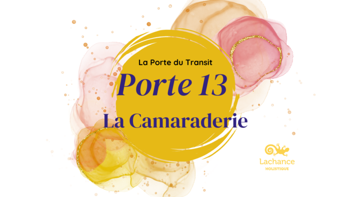 MÉTÉO ÉNERGÉTIQUE : Porte 13 La Camaraderie