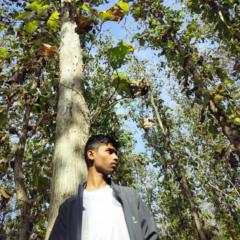 Mohammad Zaid