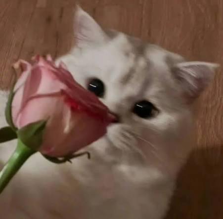 Klmn Klmn