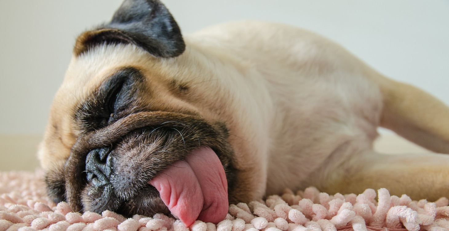 Sleep Optimization