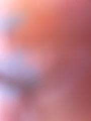 Daniel Vaqueiro kolle