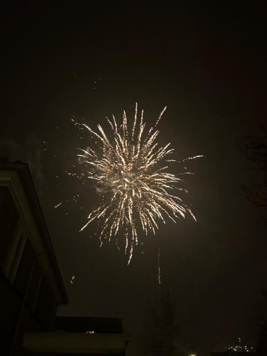 Terry Hommelberg-Hoogsteder