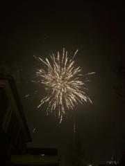 Terry Hommelberg-Hoogsteder