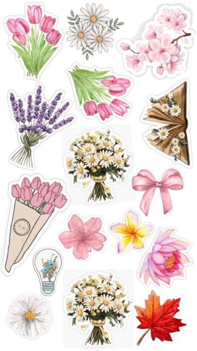 Brenda Olvera Olvera