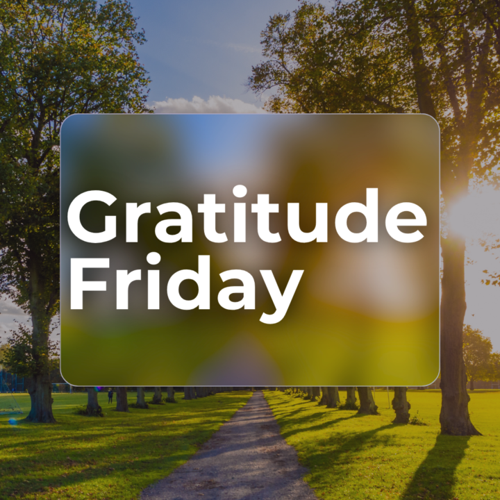 Gratitude Friday🙏
