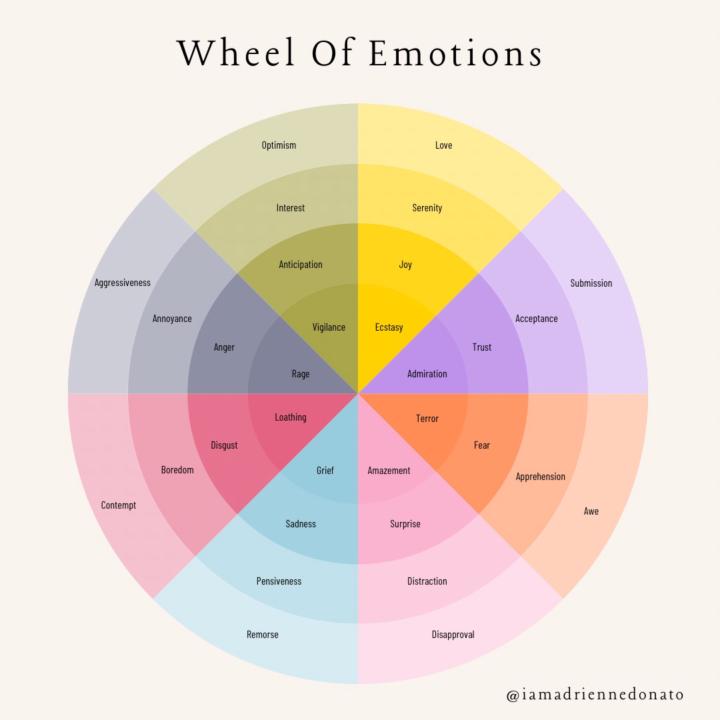 Feeling out of place? Get on the Wheel