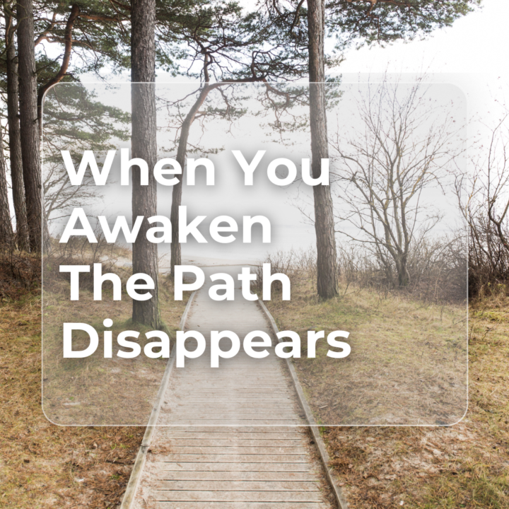 The Path Disappears When You Awaken✨