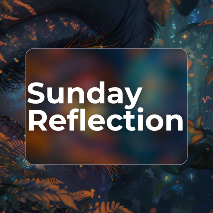 Sunday Reflection ✨