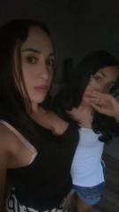 Vanella Mancha