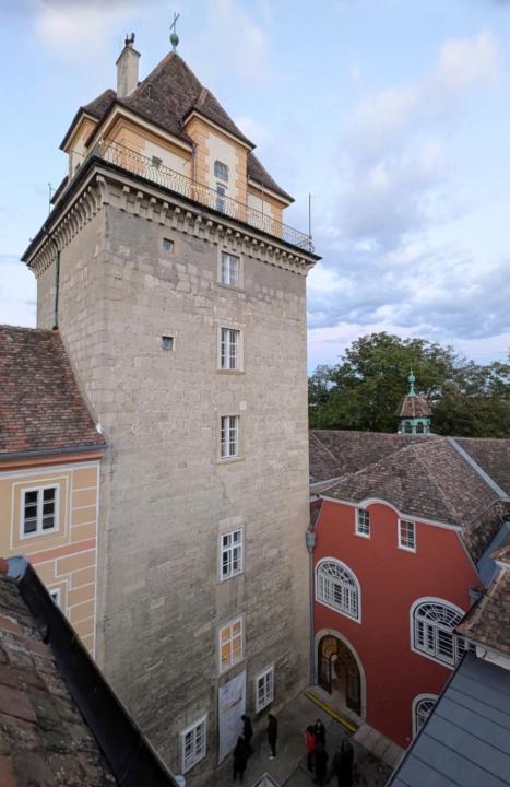 Barbara Höller-Grasinger