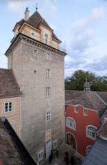 Barbara Höller-Grasinger