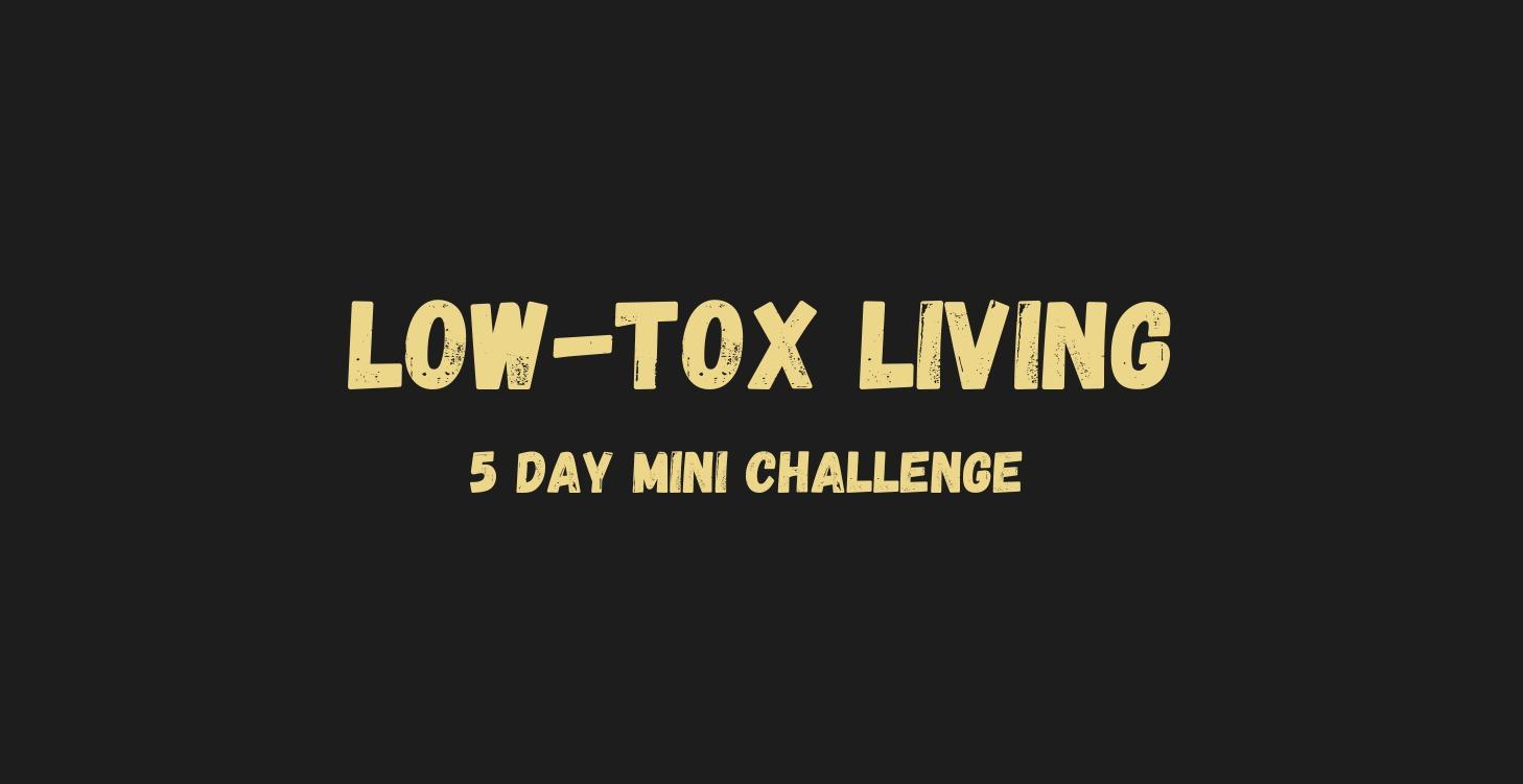 Low-Tox Living Mini Challenge