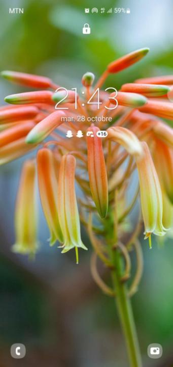 Périclès Hounnougbo