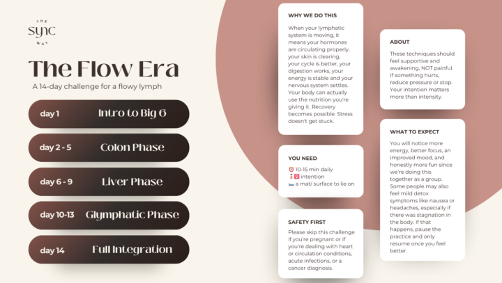 The Flow Era [14-day Challenge] Structure