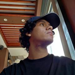 Roger Andres Palacios flores