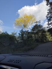 Jimy Cachay Valdivia