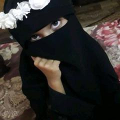 Safa Elsheikh