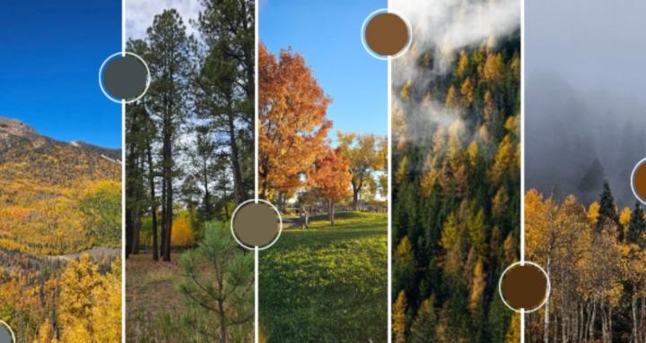 Natural Resource Solutions