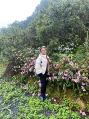 Nguyễn Thị Duyên Hải