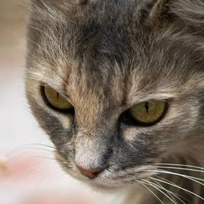 Izan Daniel Fernandez Huertes