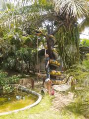 Cesar Garcia Gavidia