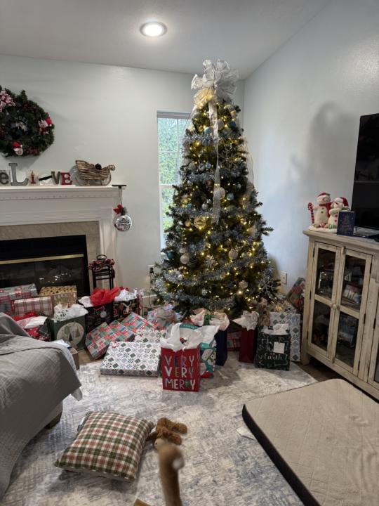 Thank you and Merry Christmas 