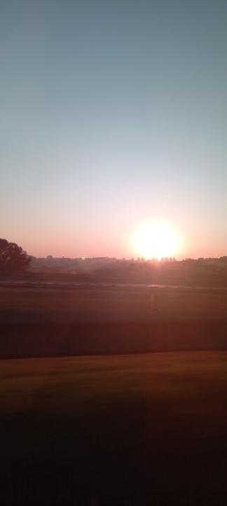 Joana cely Da silva araujo