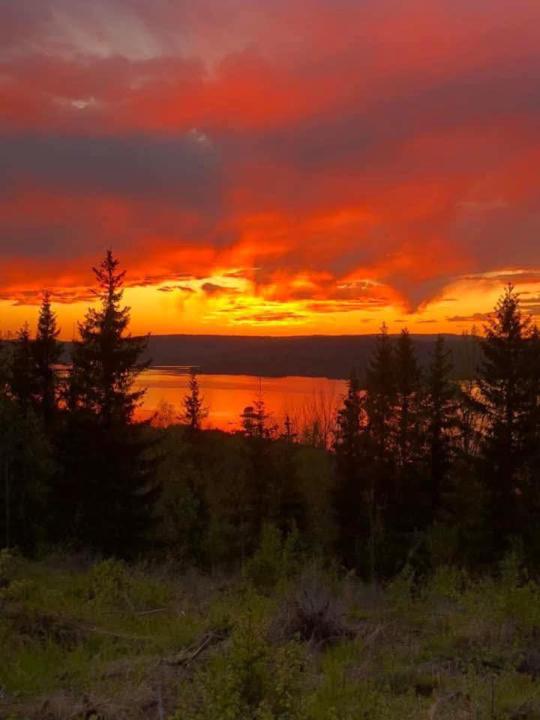 🧘🏻Fellesmeditasjon i kveld