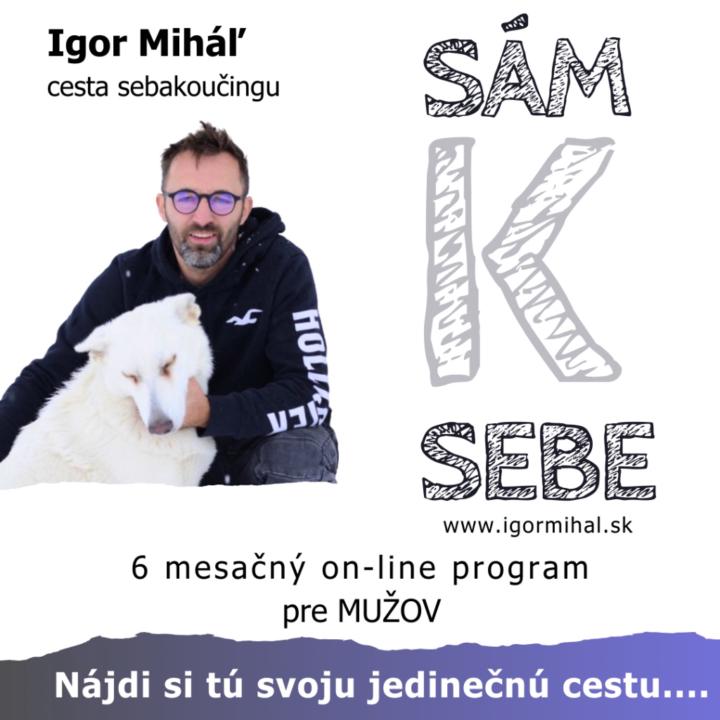 Igor Mihal