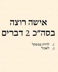 דיאנה זילברמן