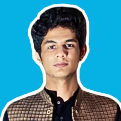 Muhammad Ehtesham Safeer