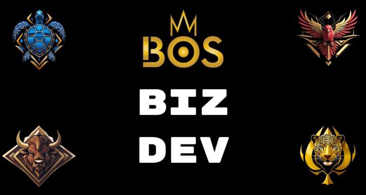 BOS BIZ DEV