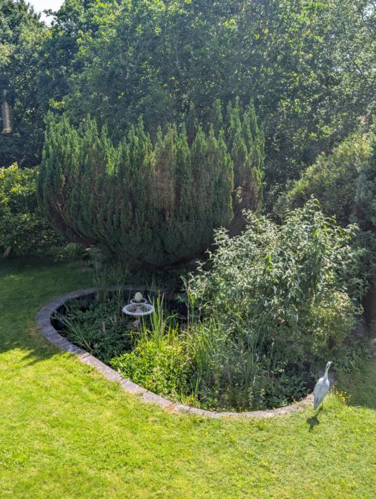 Right! - I'm getting in the pond! - Before & After
