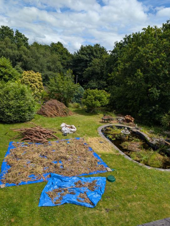 Day of clearing the pond - Week 3..!