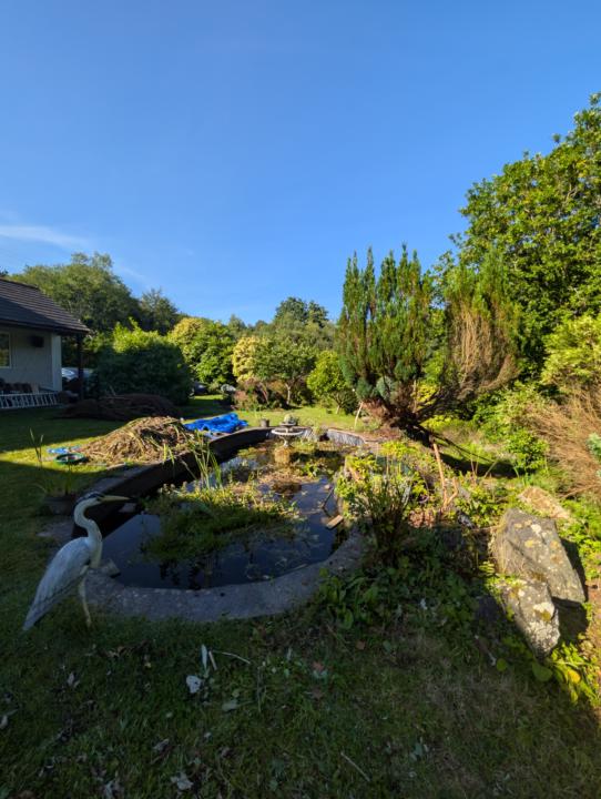 Day of clearing the pond - Week 2..!