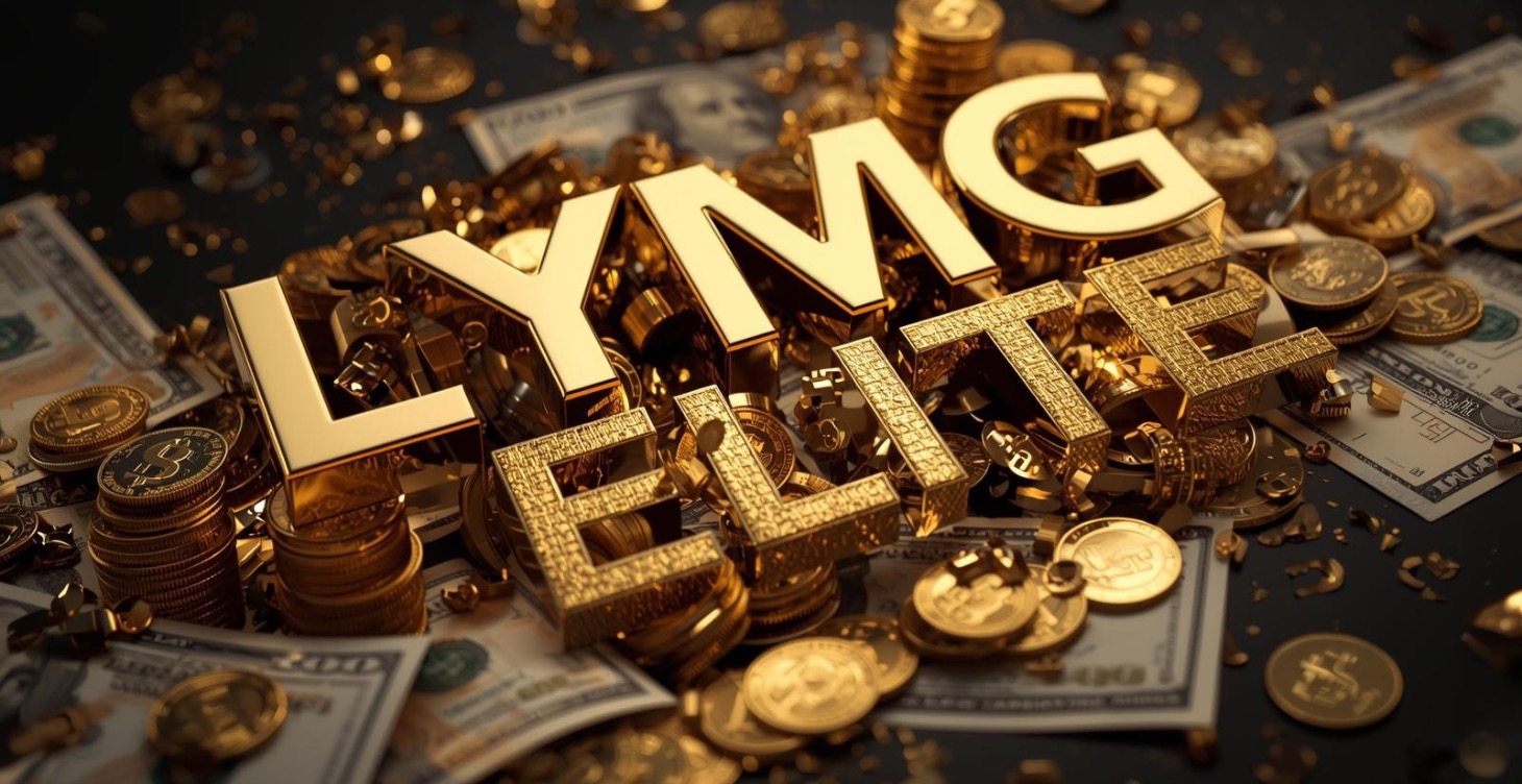 LYMG 365 ELITE - Year Long Mentorship