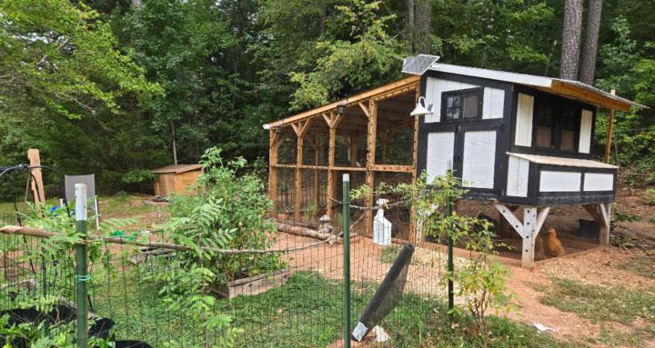 Southern Hollow Homestead
