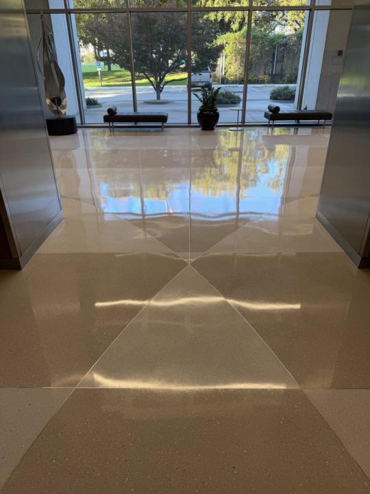 60+ years old terrazzo restoration 😎