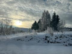 Katarína Vrábľová