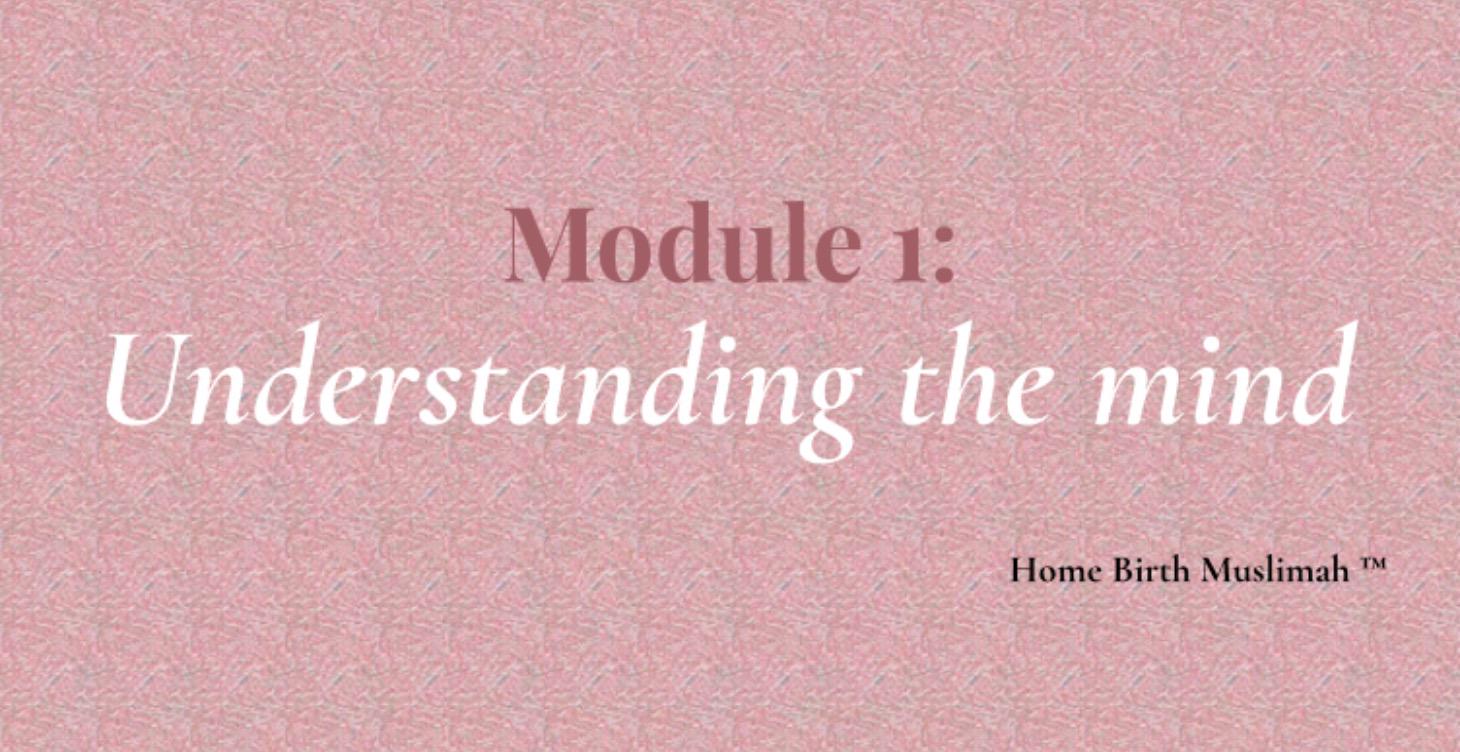 Module 1: Understanding the mind
