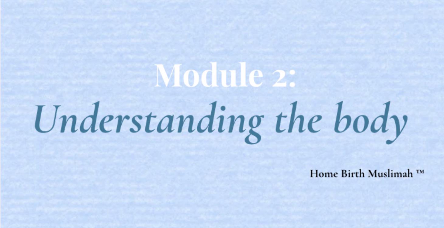 Module 2: Understanding the body