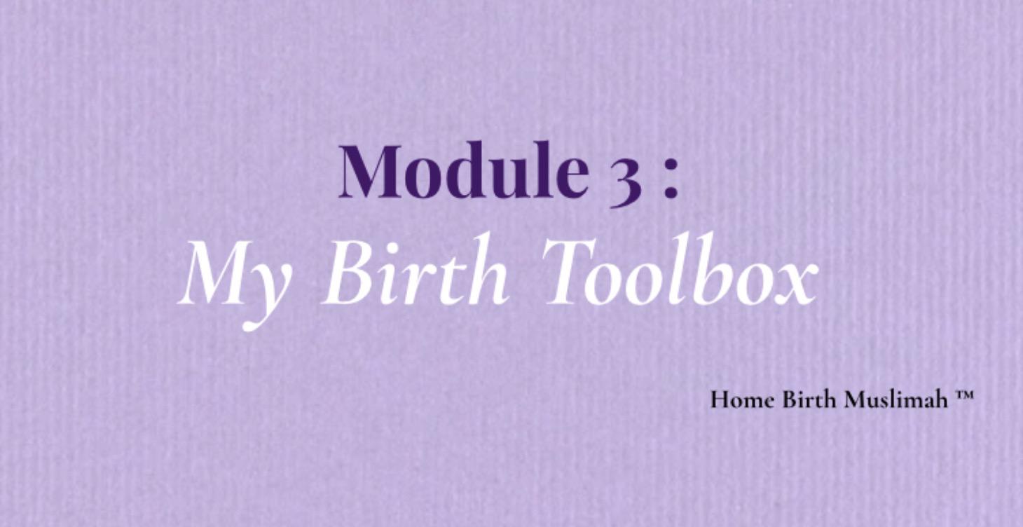 Module 3: My Birth Toolbox