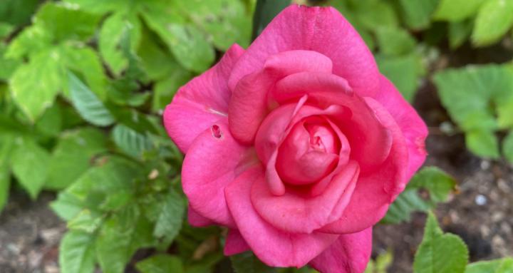 The Inner Shift Studio