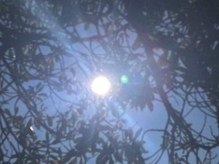 Airini W