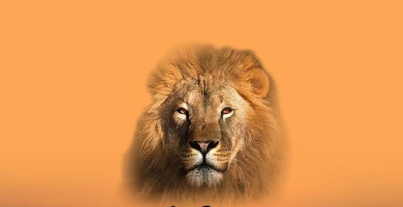 💼 Friday – Achievement & Confidence