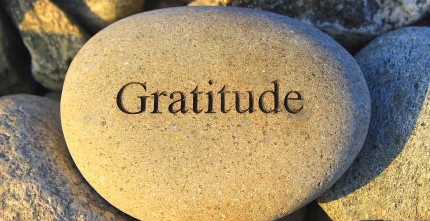 🌞 Sunday – Gratitude & Preparation