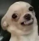 Ele T