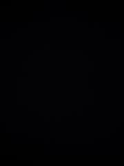 Mohamed Amine Mokhtari