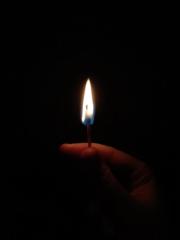 Amadeus Burns